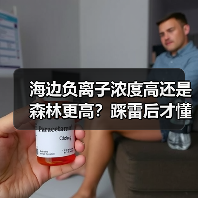 海边负离子浓度高还是森林更高?踩雷后才懂的实测真相(图4) 海边负离子浓度高还是森林更高?踩雷后才懂的实测真相(图4)