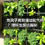 负离子真能增加氧气吗？理科生踩坑揭秘（图2）