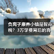负离子康养小镇是智商税？3万学费背后的真相（图1）