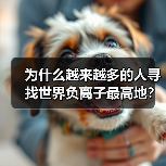 为什么越来越多的人寻找世界负离子最高地?实测数据揭晓答案(图4) 为什么越来越多的人寻找世界负离子最高地?实测数据揭晓答案(图4)