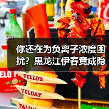 你还在为负离子浓度困扰？黑龙江伊春竟成隐形冠军（图2）
