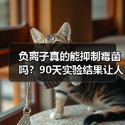 负离子真的能抑制霉菌吗?90天实验结果让人意外(图3) 负离子真的能抑制霉菌吗?90天实验结果让人意外(图3)