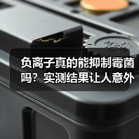 负离子真的能抑制霉菌吗?实测结果让人意外(图2) 负离子真的能抑制霉菌吗?实测结果让人意外(图2)