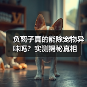 负离子真的能除宠物异味吗？实测揭秘真相（图2）