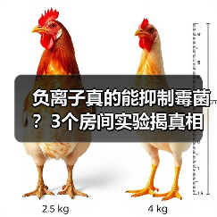 负离子真的能抑制霉菌?3个房间实验揭真相(图2) 负离子真的能抑制霉菌?3个房间实验揭真相(图2)