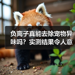 负离子真能去除宠物异味吗？实测结果令人意外（图2）