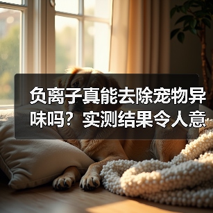 负离子真能去除宠物异味吗？实测结果令人意外（图3）