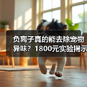 负离子真的能去除宠物异味?1800元实验揭示真相(图4) 负离子真的能去除宠物异味?1800元实验揭示真相(图4)