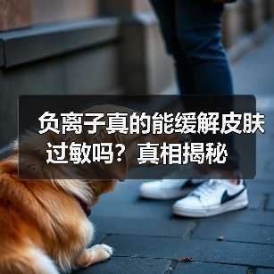 负离子真的能缓解皮肤过敏吗?真相揭秘(图2) 负离子真的能缓解皮肤过敏吗?真相揭秘(图2)