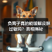 负离子真的能缓解皮肤过敏吗?真相揭秘(图4) 负离子真的能缓解皮肤过敏吗?真相揭秘(图4)