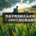 负离子真的能去头皮屑?2000元测试暴露真相(图1) 负离子真的能去头皮屑?2000元测试暴露真相(图1)