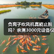 负离子吹风机真能止脱吗？亲测3000元设备仅改善毛躁（图2）