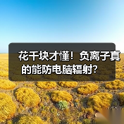 花千块才懂！负离子真的能防电脑辐射？（图4）