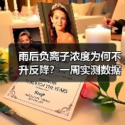 雨后负离子浓度为何不升反降？一周实测数据揭秘（图2）