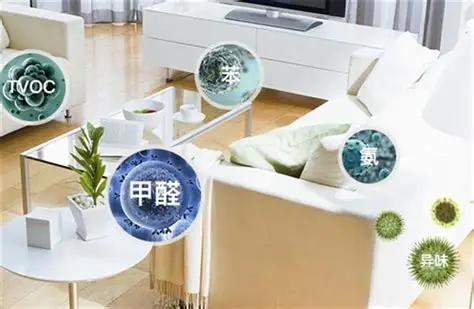 新房除甲醛方法有哪些_精选问答_学堂_齐家网