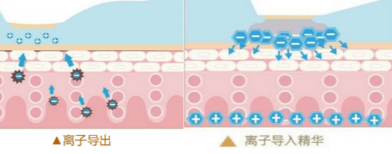 加负离子精华素使用指南 | 提升护肤效果的5大秘诀(图1) 加负离子精华素使用指南 | 提升护肤效果的5大秘诀(图1)