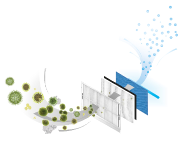 净化 + 防污双效合一:千加负离子精华素实用指南(图3) 净化 + 防污双效合一:千加负离子精华素实用指南(图3)