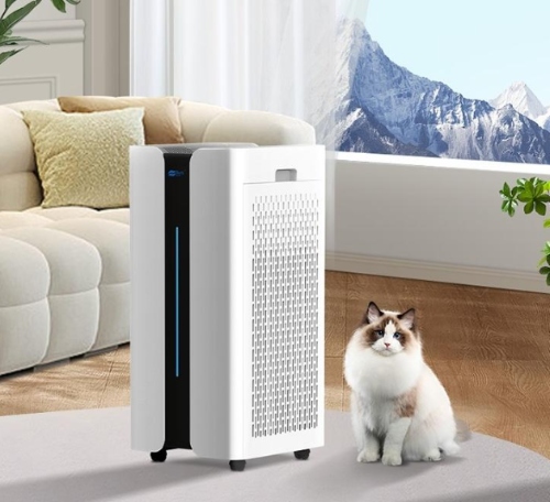 空气净化器到底有没有用?用了1年后的真实体验与分析(图3) 空气净化器到底有没有用?用了1年后的真实体验与分析(图3)