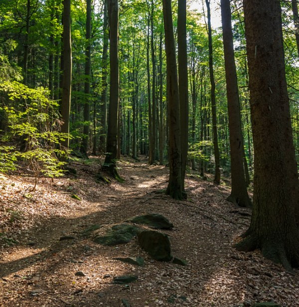 空气维生素来袭!负氧离子竟有这些神奇健康功效!(图2) 空气维生素来袭!负氧离子竟有这些神奇健康功效!(图2)