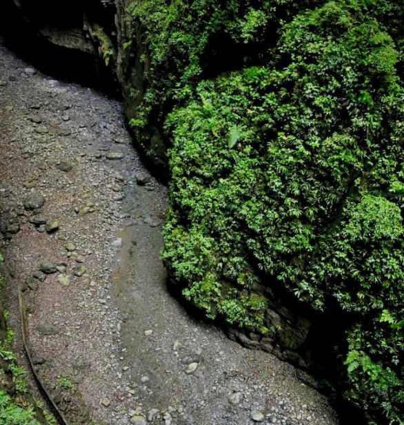 空气维生素来袭!负氧离子竟有这些神奇健康功效!(图3) 空气维生素来袭!负氧离子竟有这些神奇健康功效!(图3)