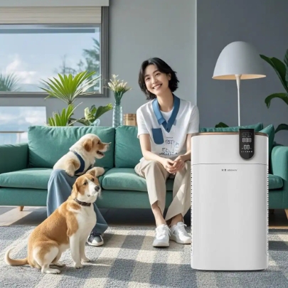 全网独家!2020年负离子净化器选购大揭秘,小白必看!(图2) 全网独家!2020年负离子净化器选购大揭秘,小白必看!(图2)