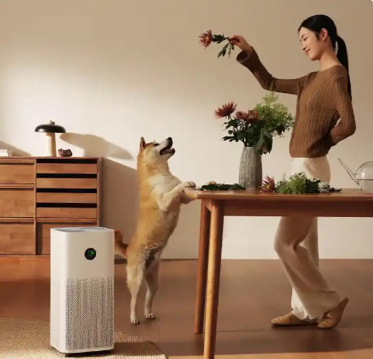 全网独家!2020年负离子净化器选购大揭秘,小白必看!(图3) 全网独家!2020年负离子净化器选购大揭秘,小白必看!(图3)