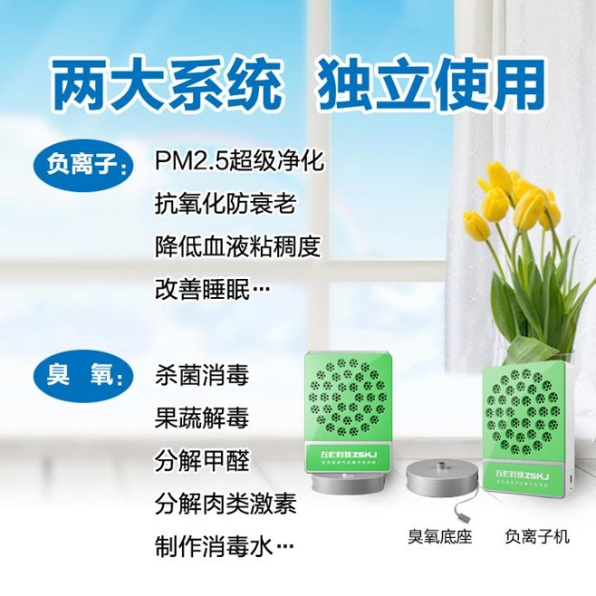 负离子如何为你带来更清新的呼吸环境?揭秘负离子空气净化的强大力量!(图1) 负离子如何为你带来更清新的呼吸环境?揭秘负离子空气净化的强大力量!(图1)