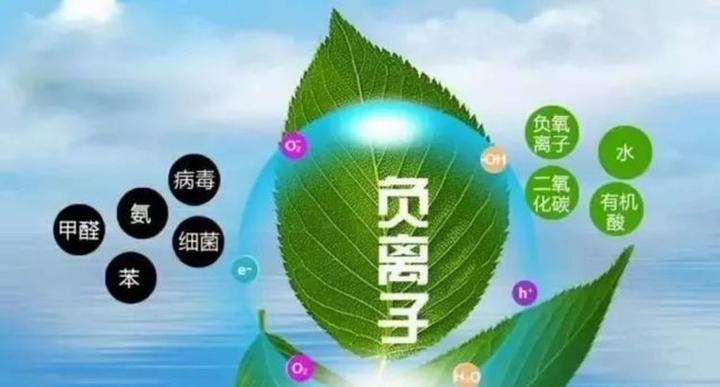 上海阿姨引爆嗅觉革命！一台负离子净化器让30年老屋飘出瑞士森林味，百亿“空气魔法”市场正在爆发(图1)